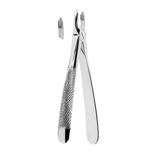 Extracting Forceps Fractured or Decayed Upper Teeth With Serrated Tips - Stainless steel