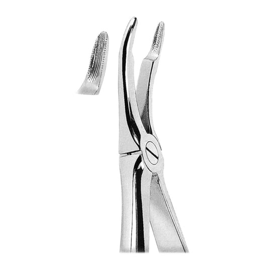 Dental Extracting Forceps Upper Roots With Serrated Tip