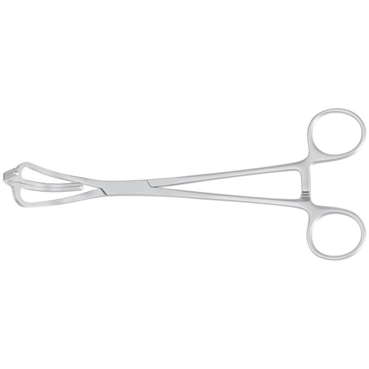 Lemole-strong Aorta Clamps