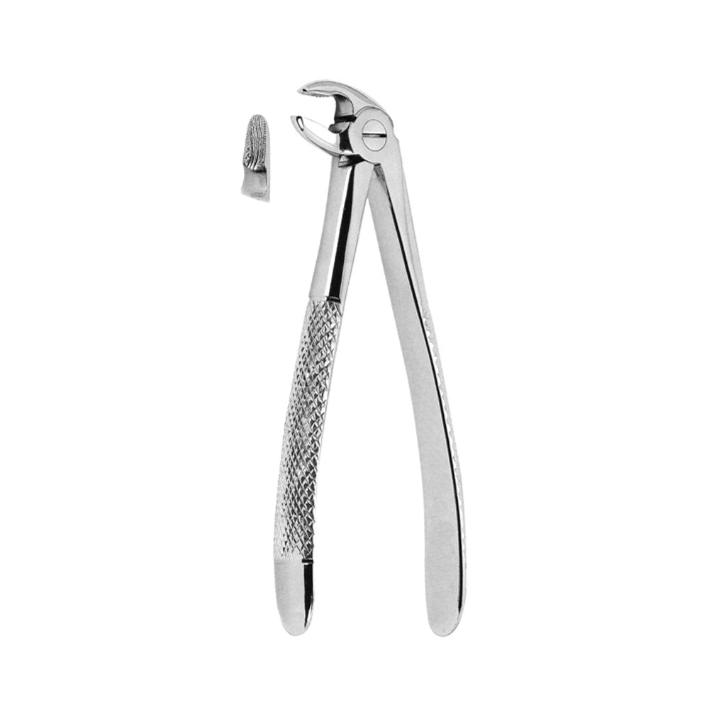 Extracting Forceps Clinic Lower Roots Image principale du produit