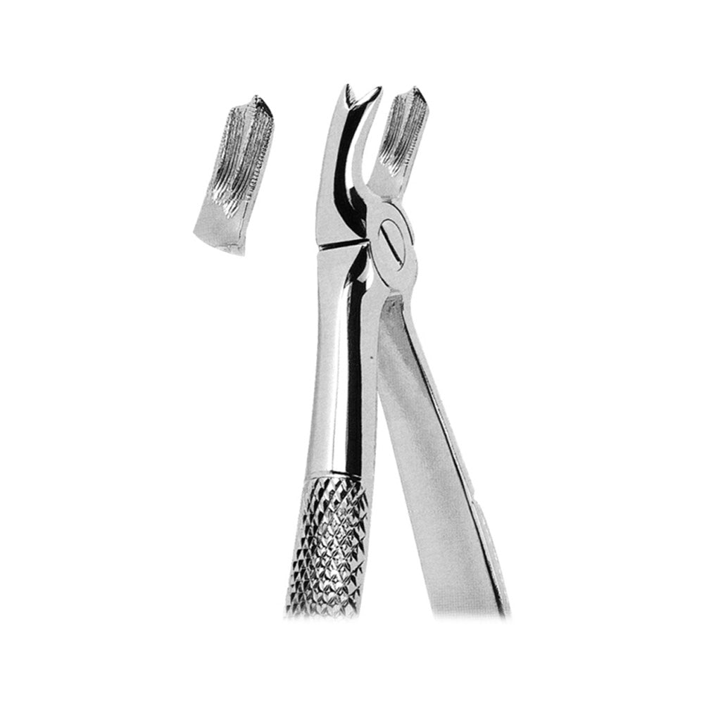 Extracting Forceps Upper Molars Left With Serrated Tips