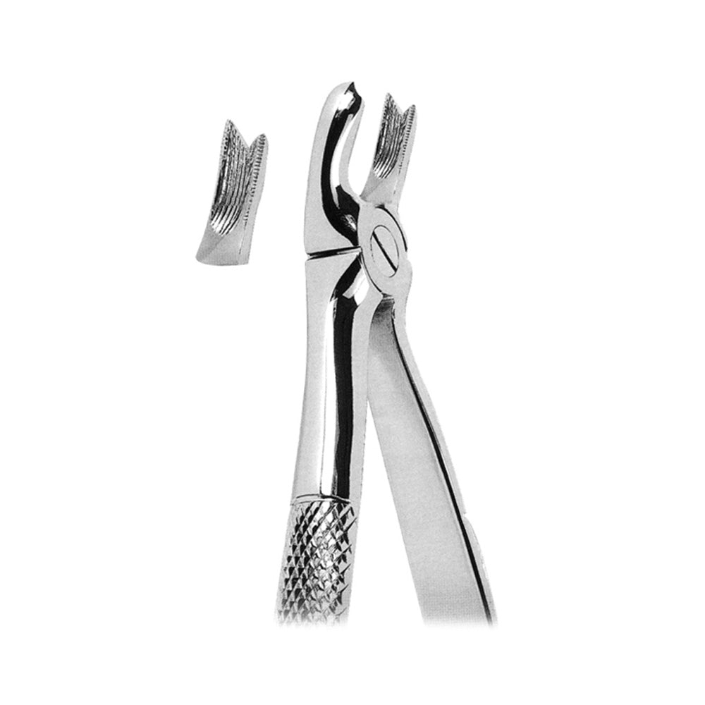 Extracting Forceps Upper Molars Left With Serrated Tips