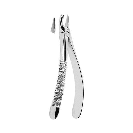 Extracting Forceps Upper Molars Left With Serrated Tips