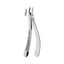 Extracting Forceps Upper Molars Left With Serrated Tips
