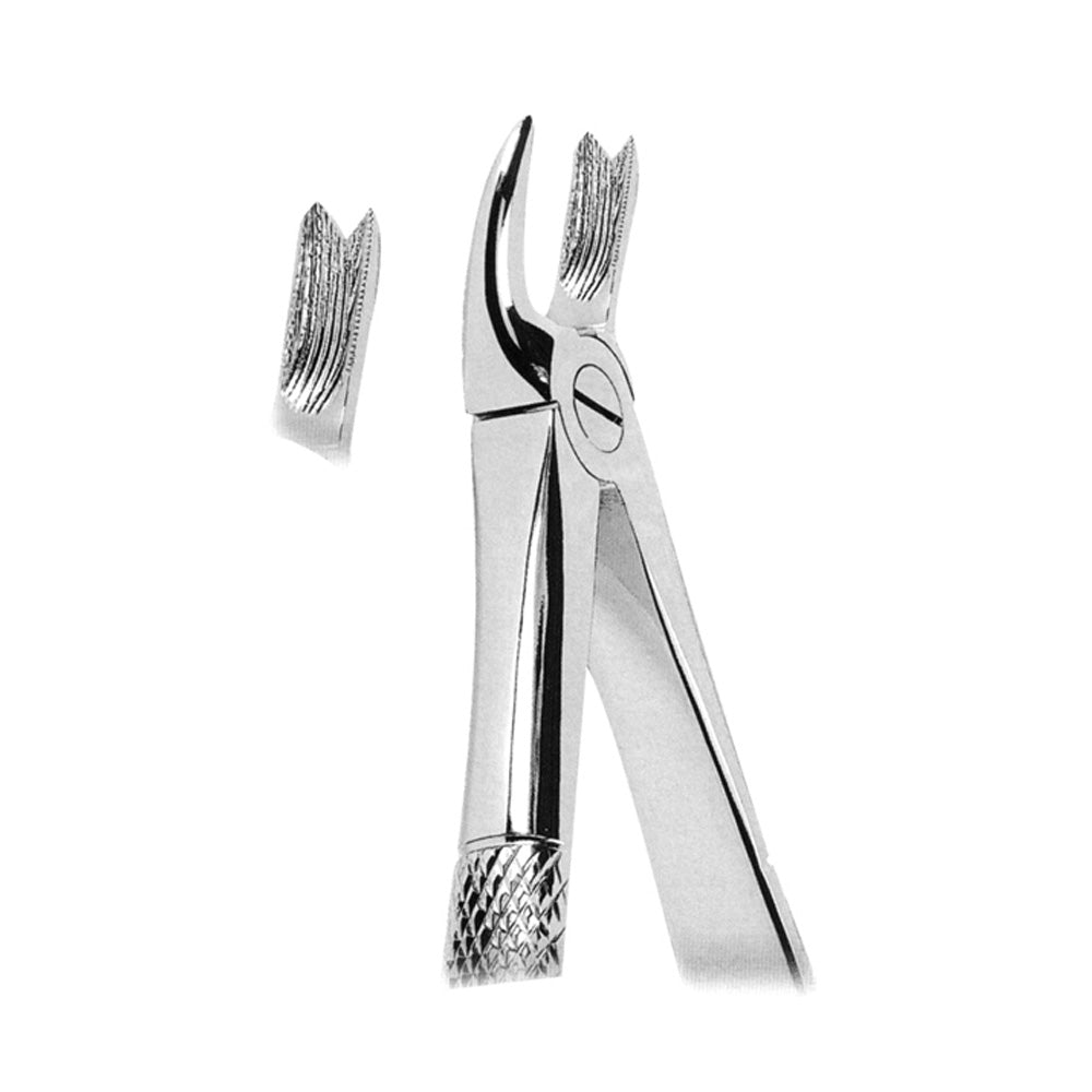 Extracting Forceps Upper Molars Right With Serrated Tips