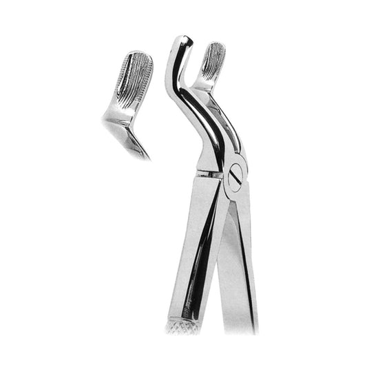 Extracting Forceps Upper Third Molars With Serrated Tips