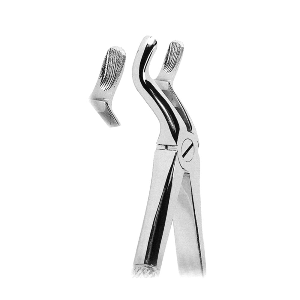 Extracting Forceps Upper Third Molars With Serrated Tips