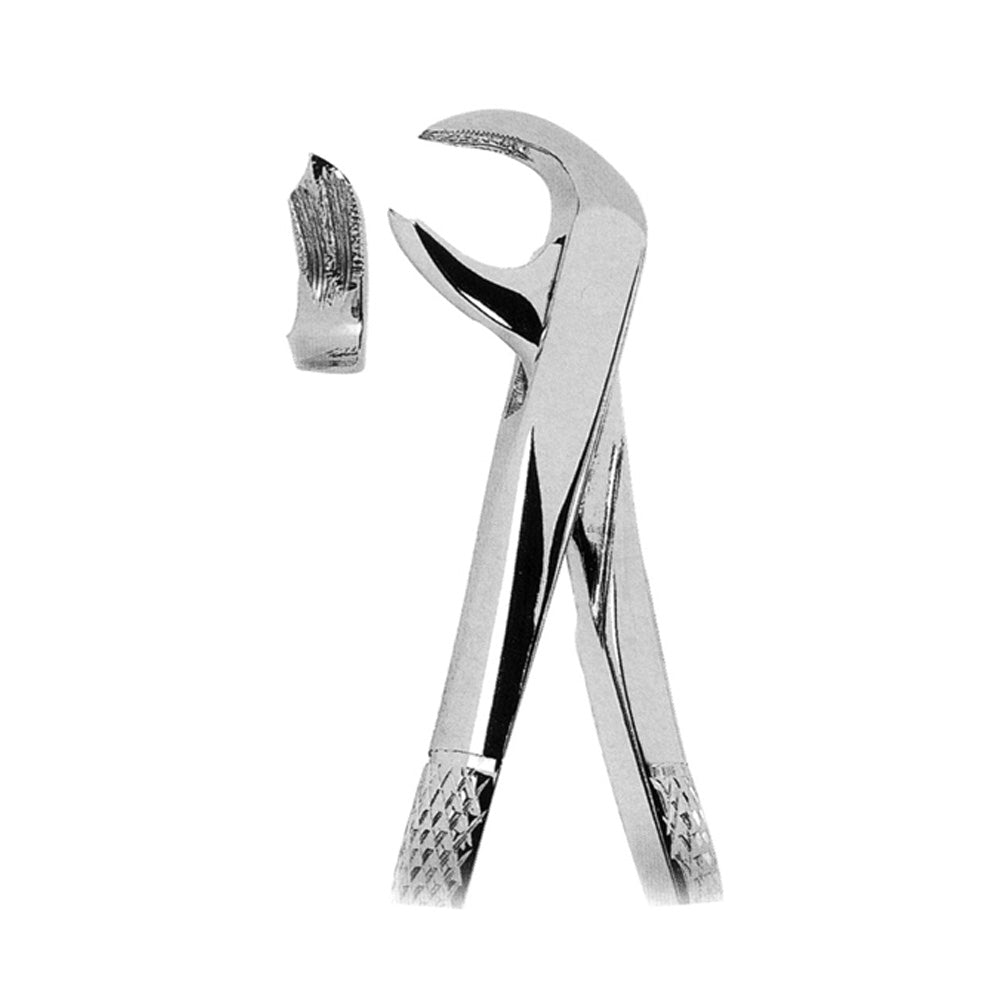 Extracting Forceps Lower Molars With Serrated Tips
