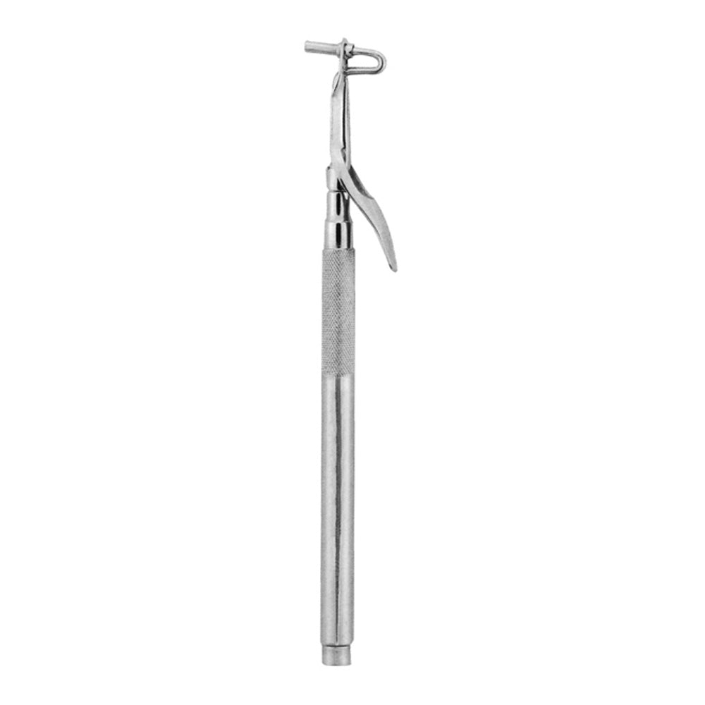 Amalgam Carrier 2mm Hình sản phẩm chính