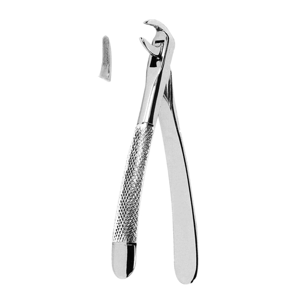 Extraction Forceps Dentistry Main image