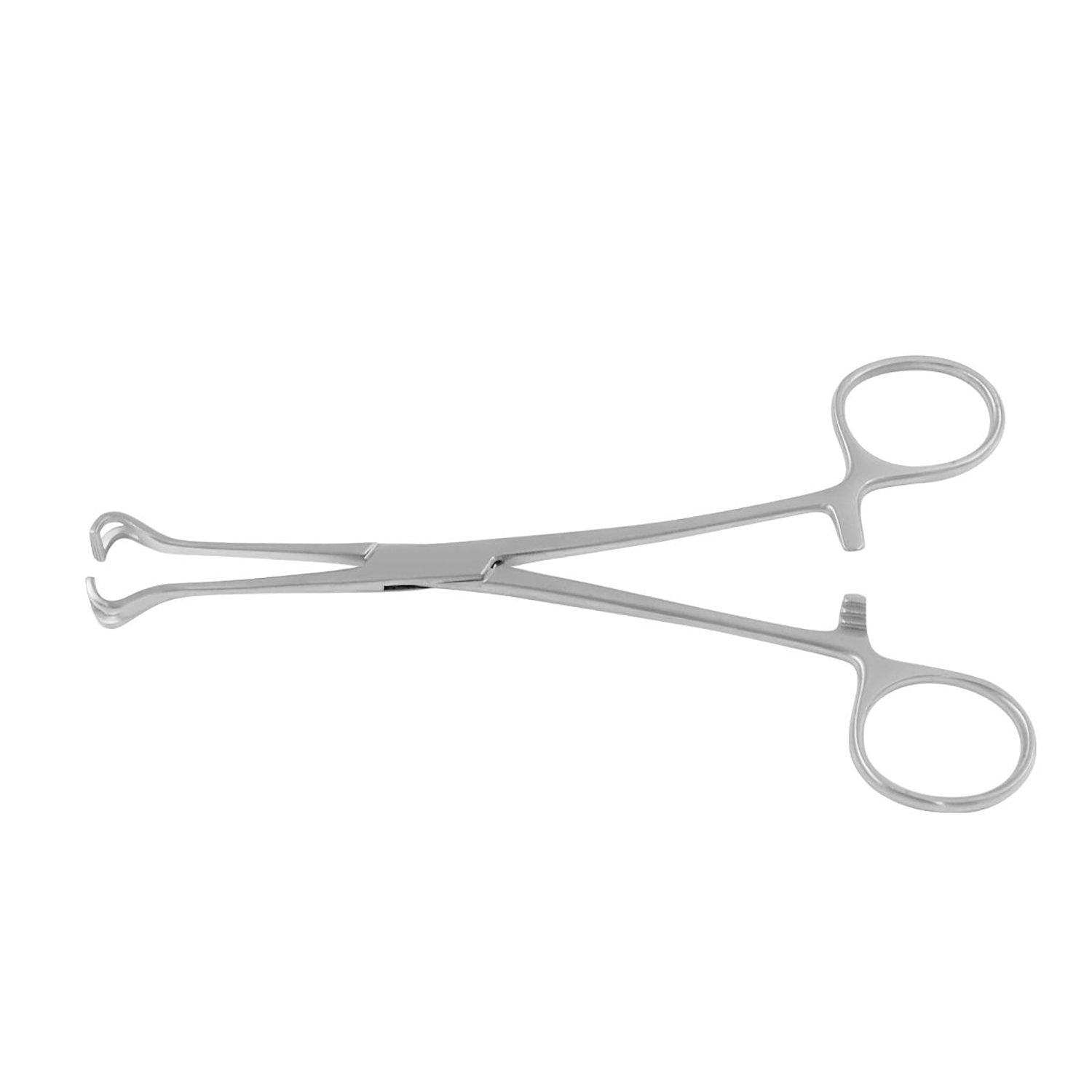 Babcock Thoracic Tissue Forceps Imagem principal do produto