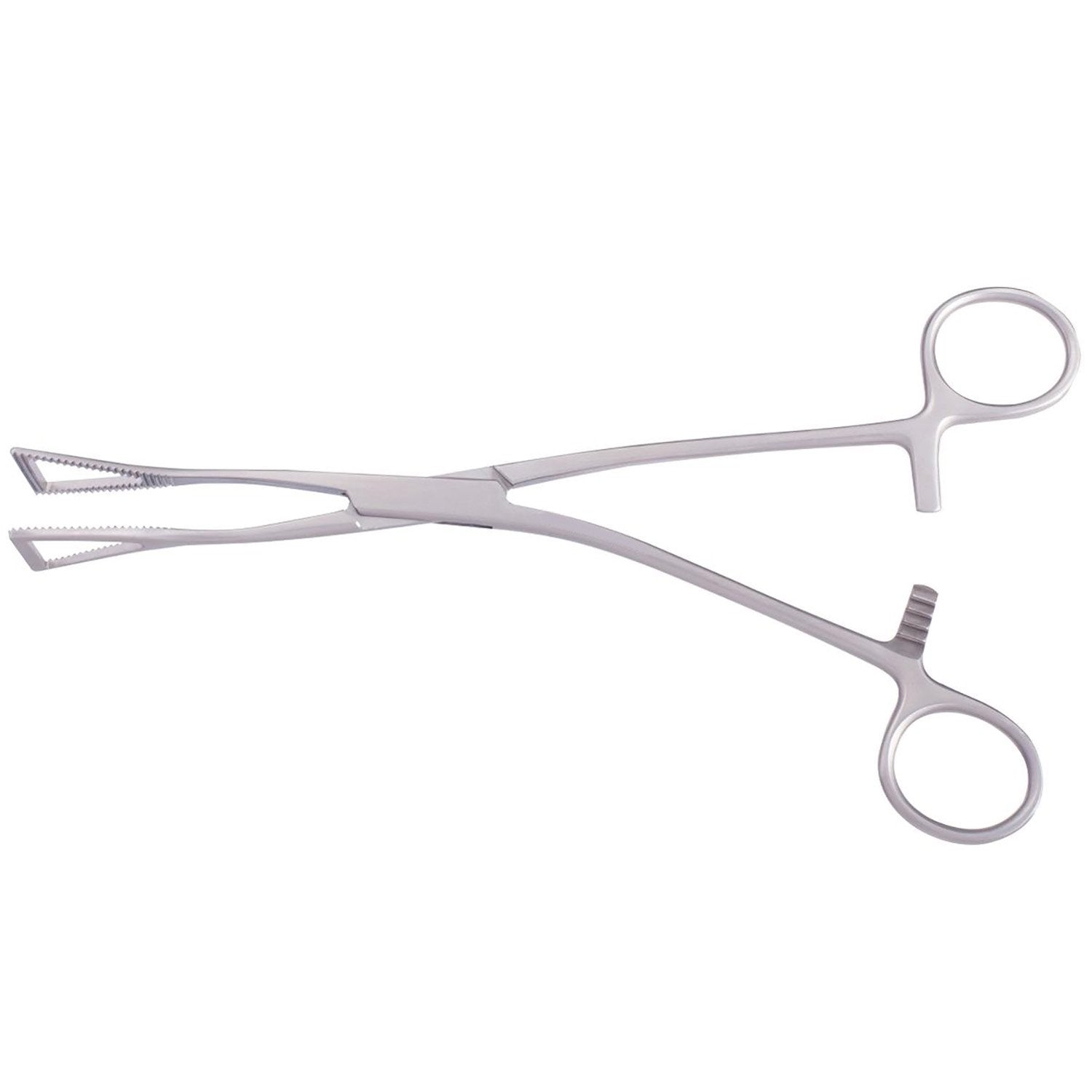 Lovelace Lung Forceps 19cm Hauptbild