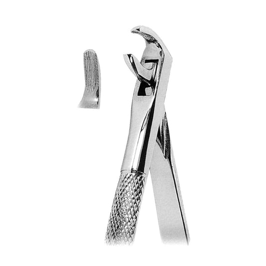 Extracting Forceps Lower Canines and Premolars With Serrated Tips