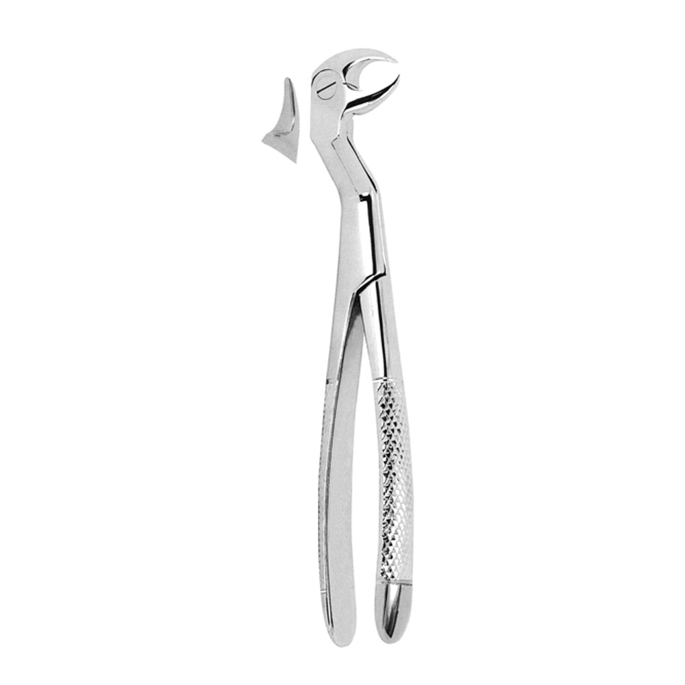 Extracting Forceps Lower Third Molars Left
