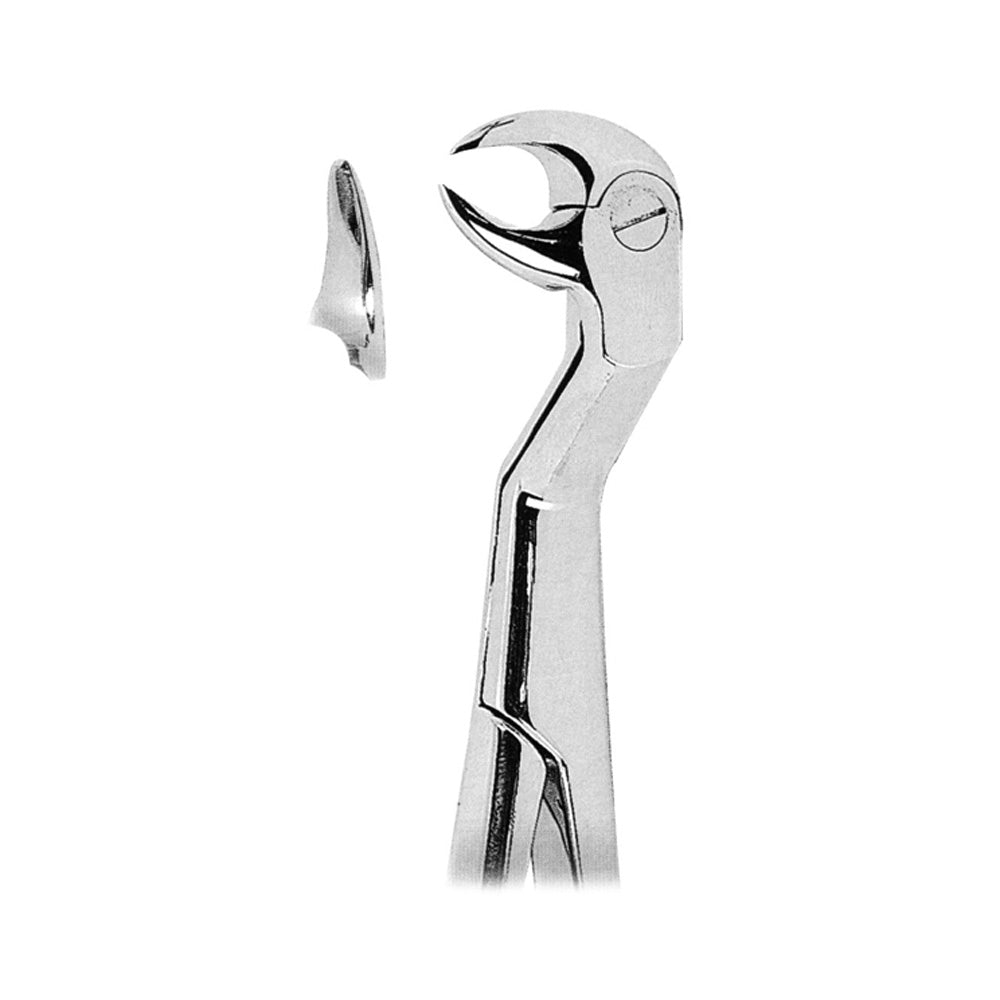 Extracting Forceps Lower Third Molars Right