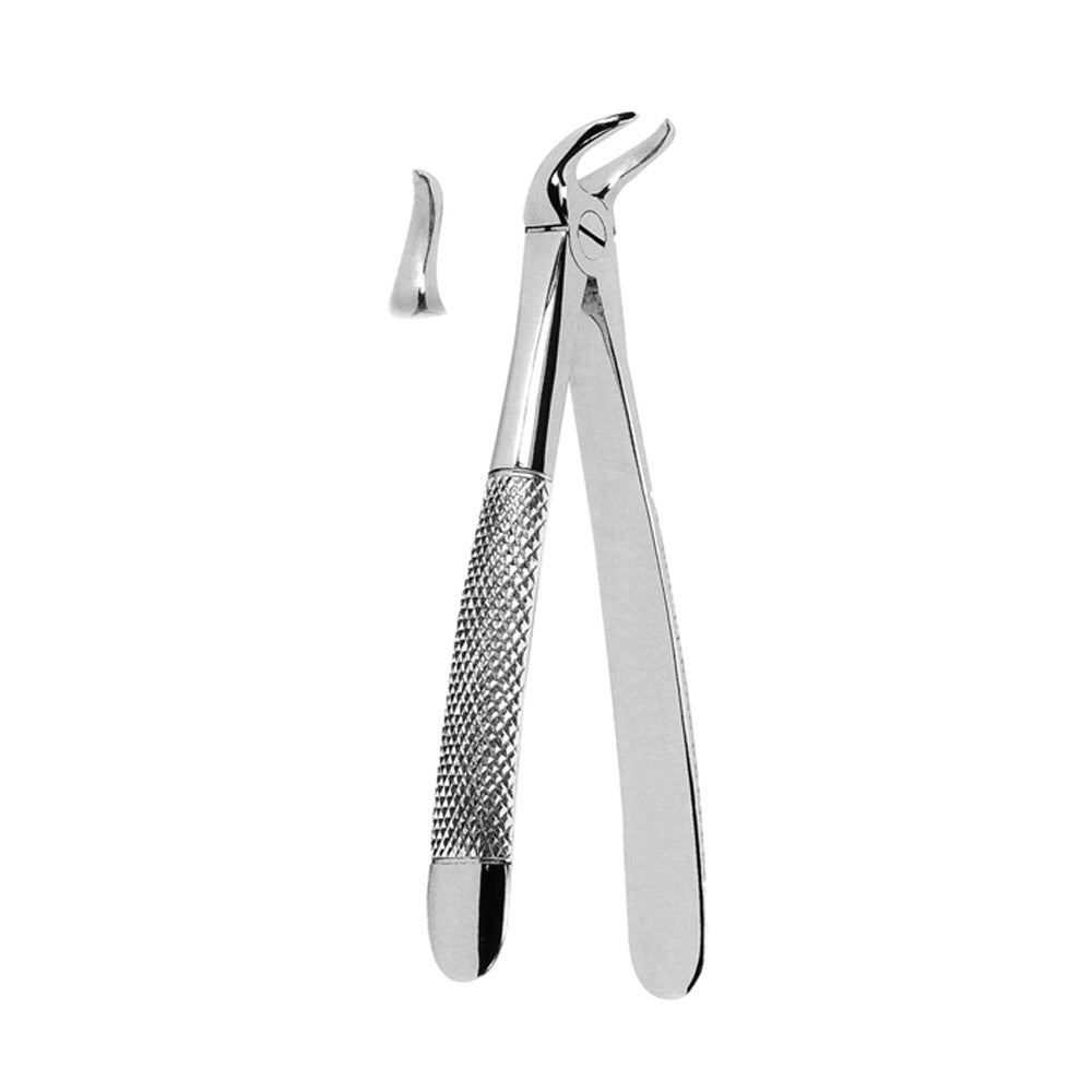 Extracting Forceps Lower Decayed Molars of Broken Crown