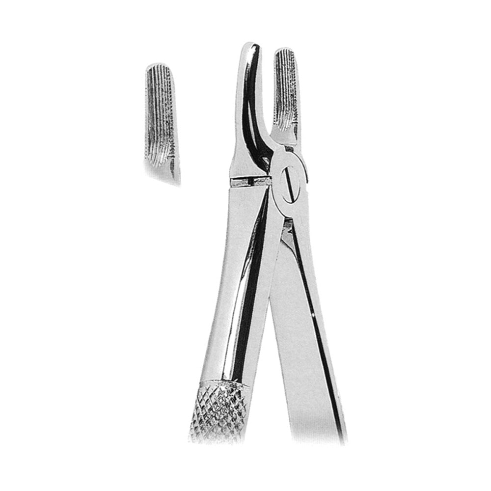 Extracting Forceps Upper Incisors and Canines With Serrated Tip