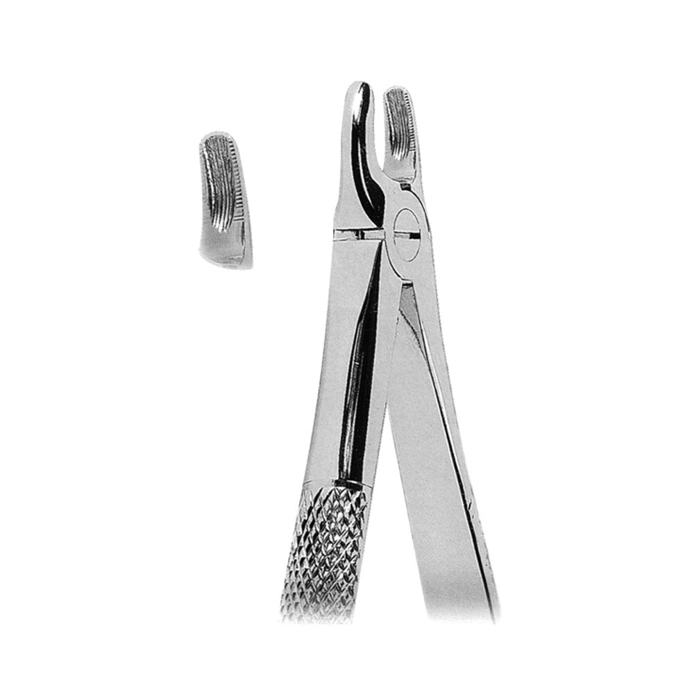 Extracting Forceps Upper Canines With Serrated Tips Main image