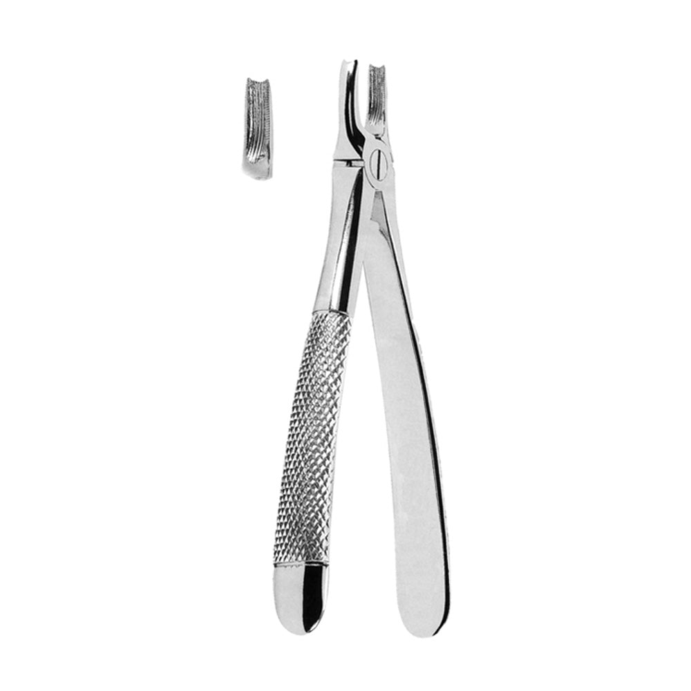Extracting Forceps Upper Canines With Serrated Tips