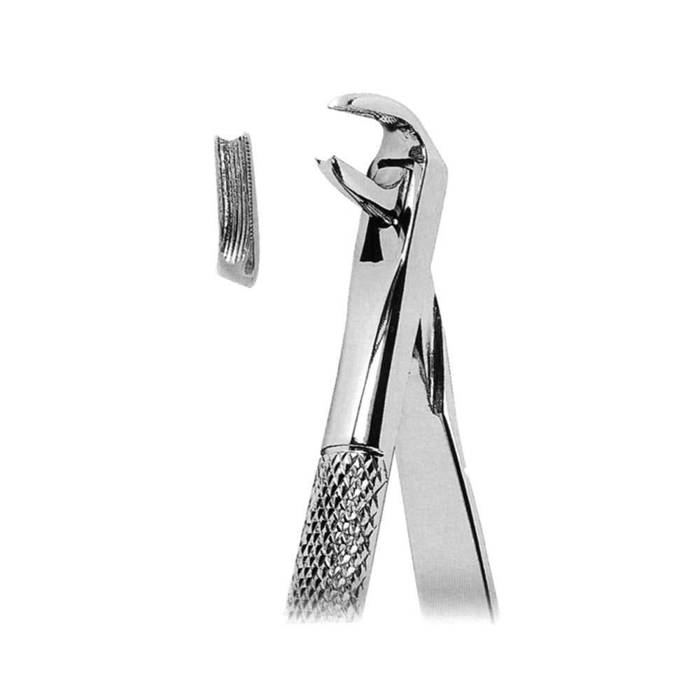 Extracting Forceps Lower Canines With Serrated Tips Main image