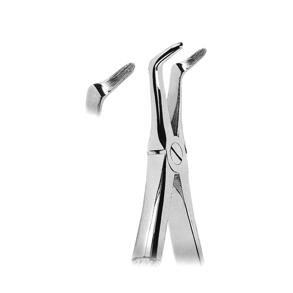 Forceps Molar Lower Roots With Serrated Tips