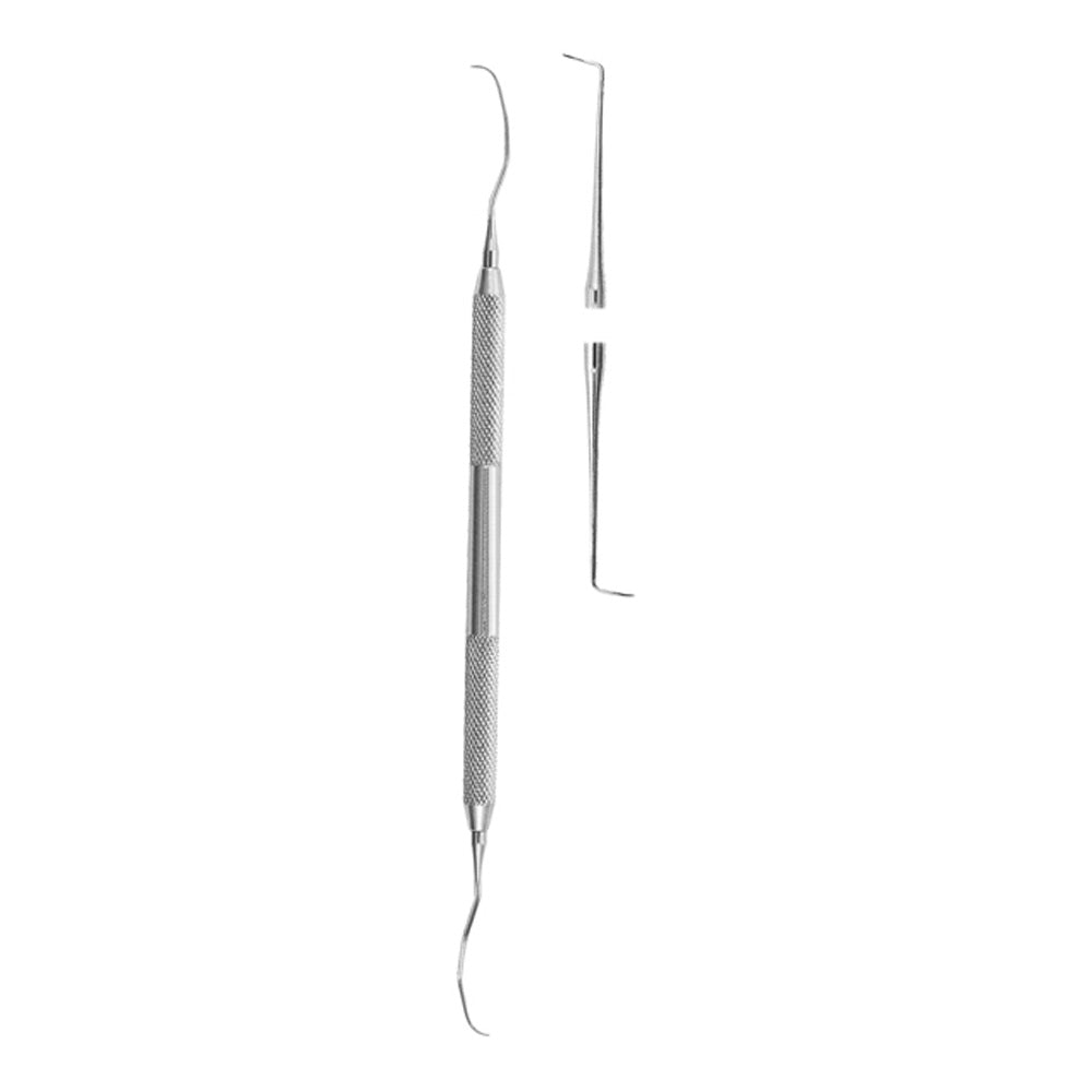 Tooth Explorer 메인 이미지