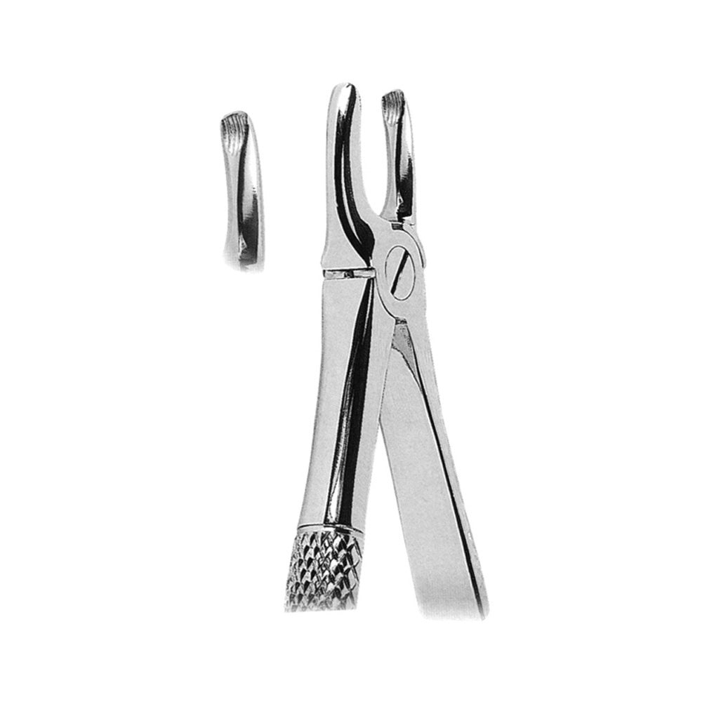 Extracting Forceps Overlapping Upper Incisors and Canines With Serrated Tips