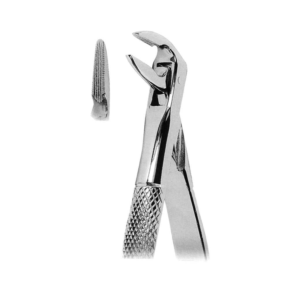 Upper Straight Forceps Lower Roots Imagem principal do produto