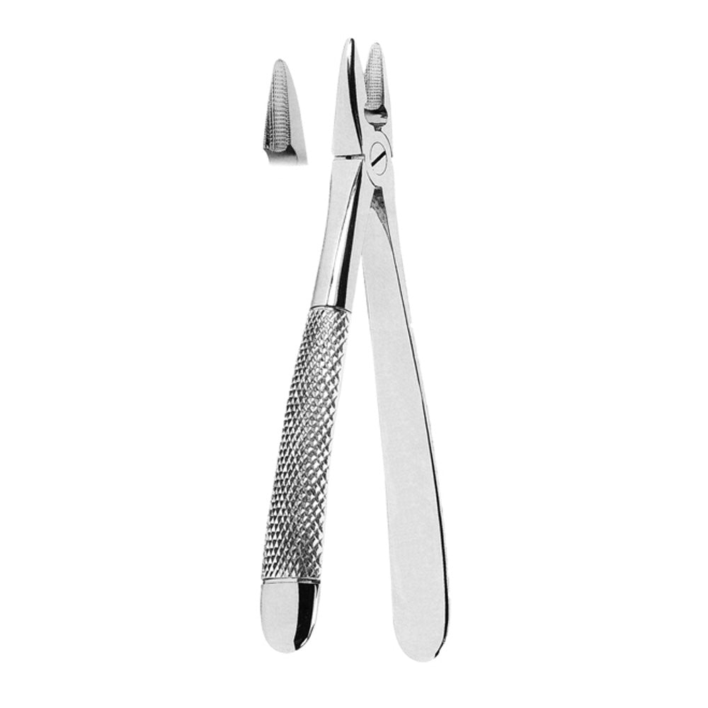 Universal Extracting Forceps for Upper Incisors and canines With Serrated Tips