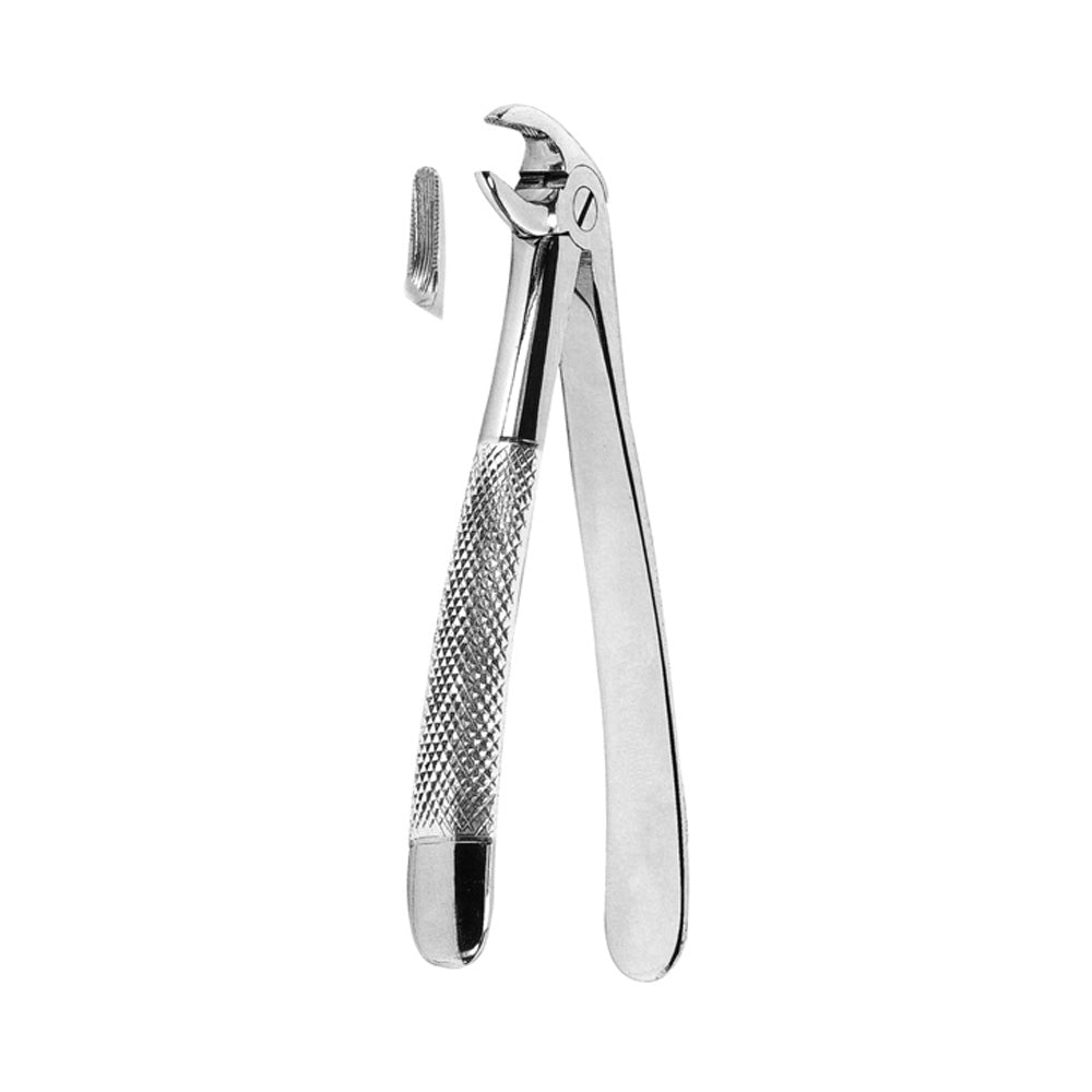 Premolar Forceps Lower With Serrated Tips