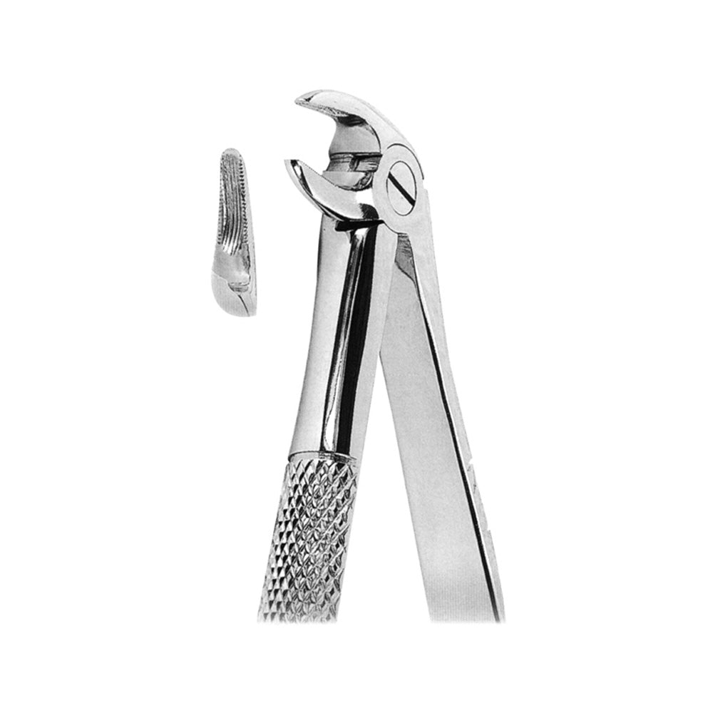 Maxillary Right Lower Molar Forceps Hlavní obrázek produktu