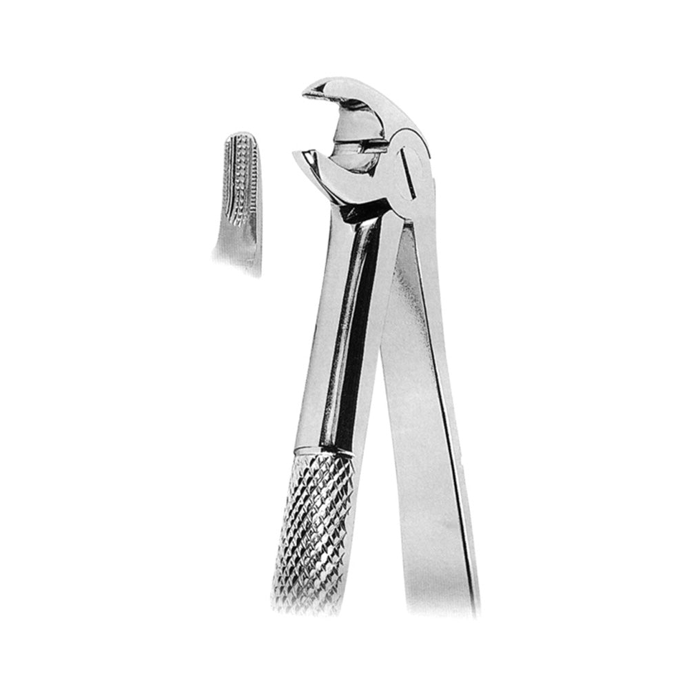 Mead Pattern Lower Incisors, Premolars and Roots Mead Pattern Imagem principal do produto
