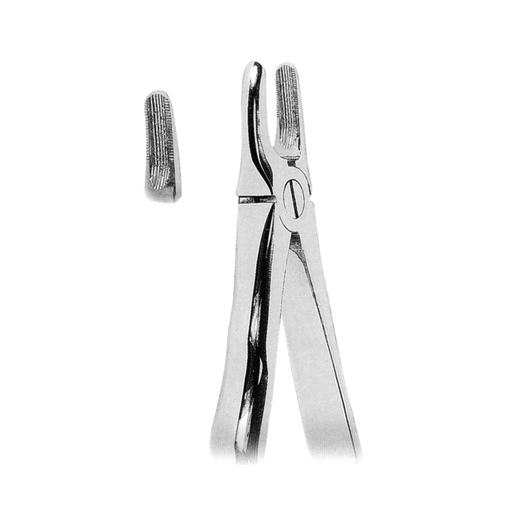 Dentist Anatomically Shaped Handle Imagem principal do produto