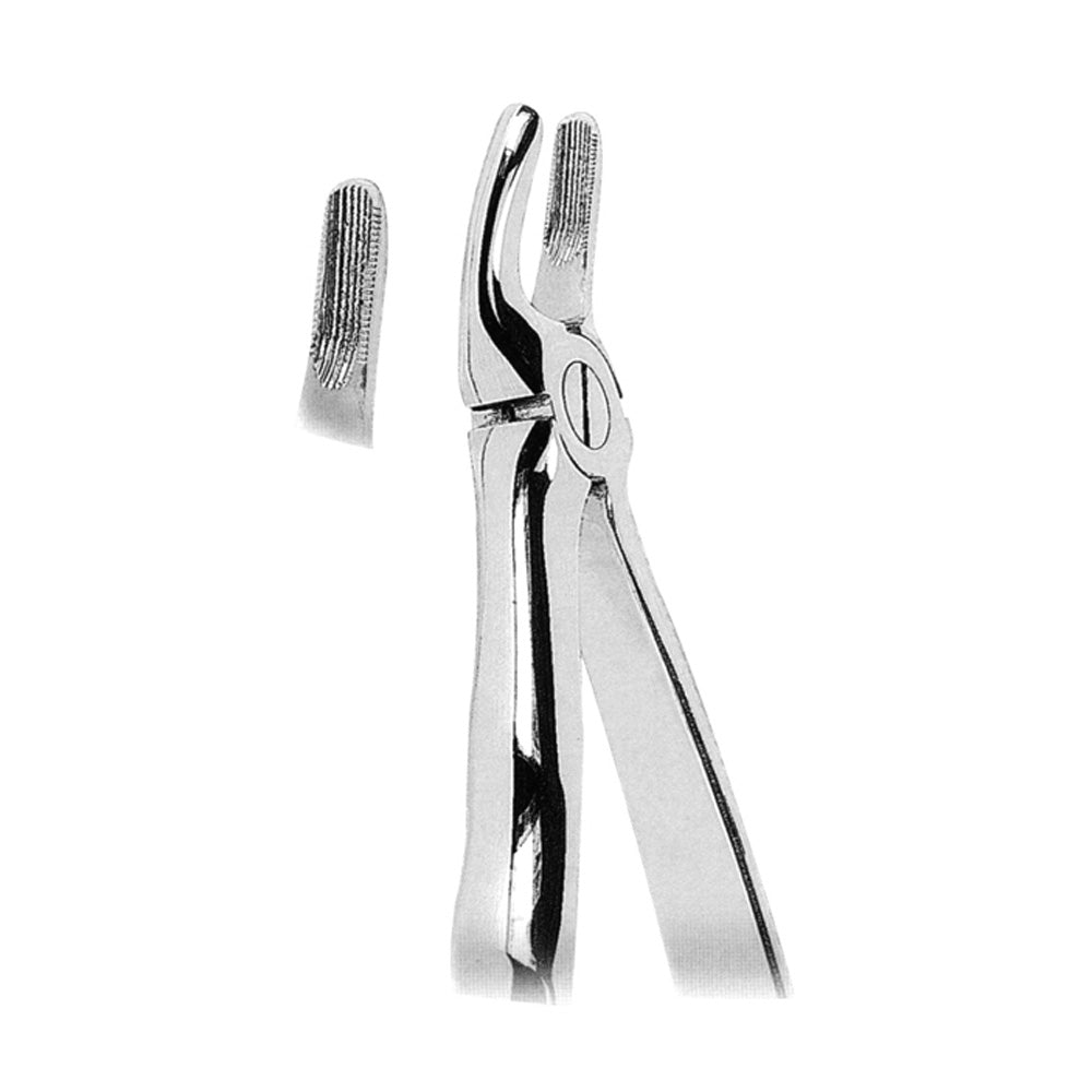 Tooth Extractor Anatomically Shaped Handle Hauptbild