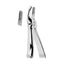 Tooth Extractor Anatomically Shaped Handle