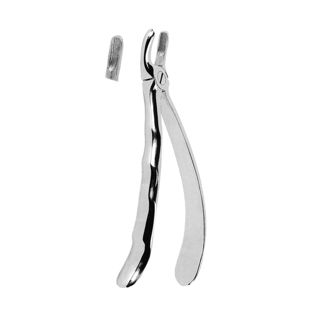 Orthodontic Tooth Extraction Hlavní obrázek produktu