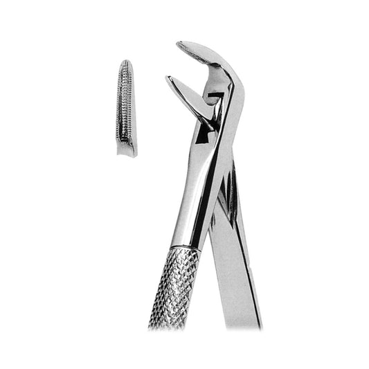 Extracting Forceps Lower Incisor Roots