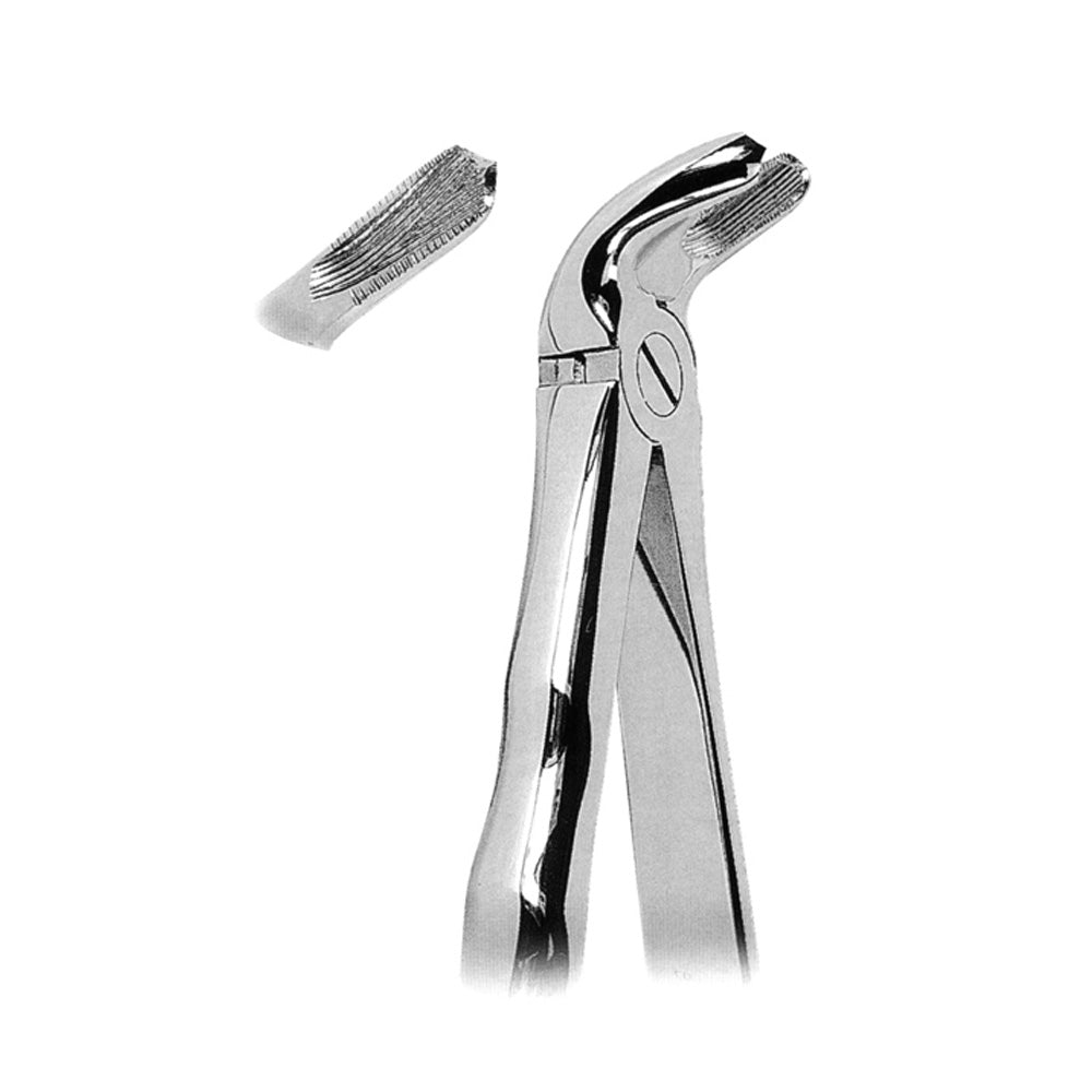 Anatomically Shaped Handle Orthodontic Hlavní obrázek produktu