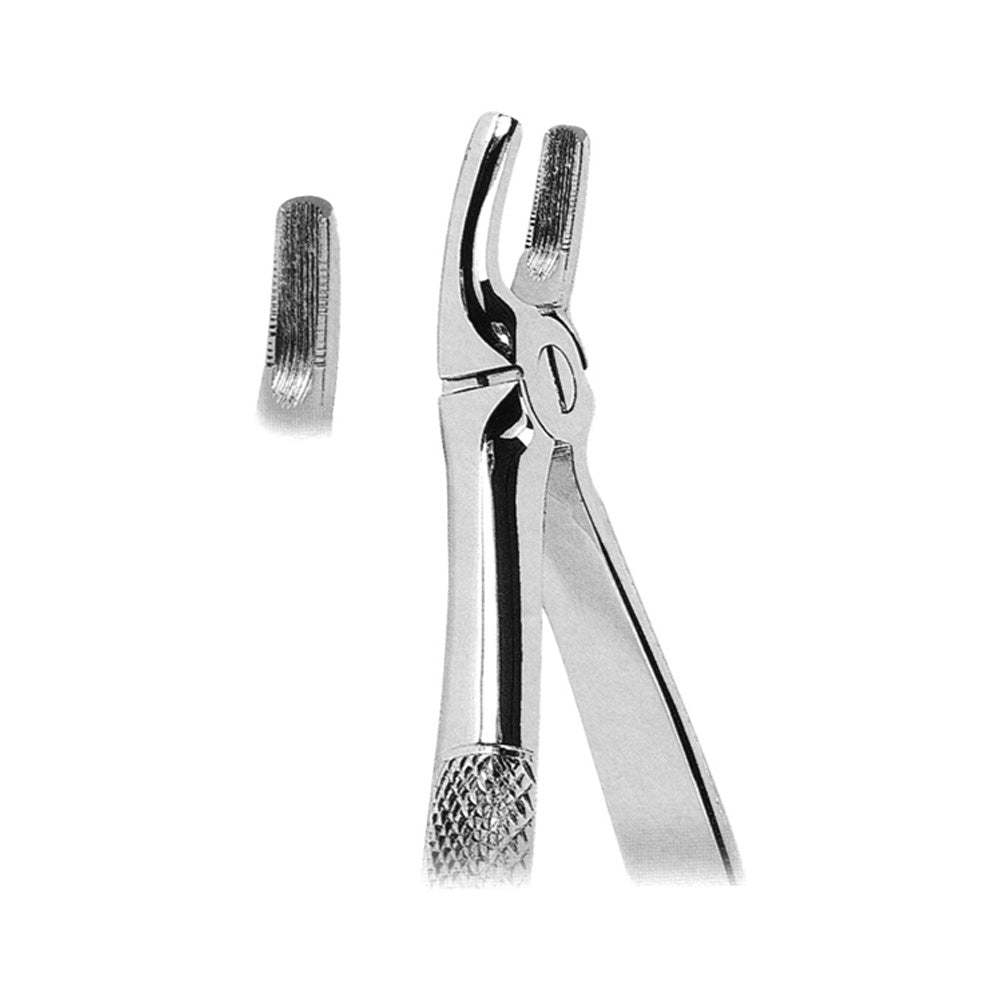 Extracting Forceps Upper Premolars With Serrated Tips