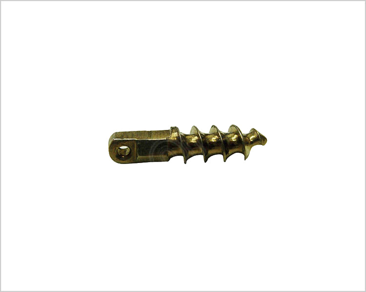 Anchor Screw - Titanium