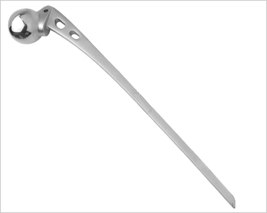 Austin Moore Hip Prosthesis Excel
