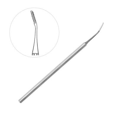 Bone File Rasp Angled Main image