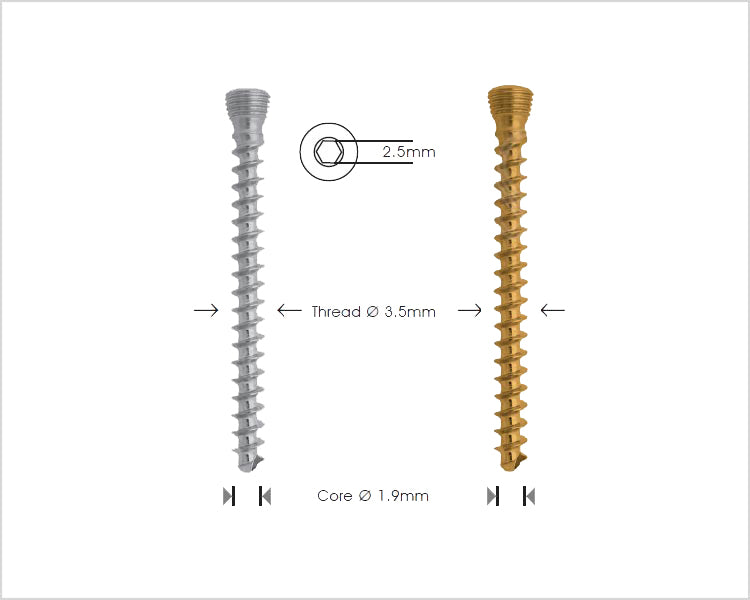 Cancellous Safety Lock Screw Ø3.5mm Self Tapping Κύρια εικόνα προϊόντος