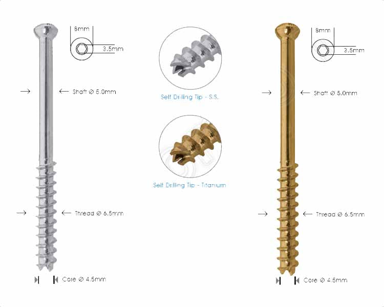 Cancellous Cannulated Screw Ø 6.5mm 32mm Thread Hlavní obrázek produktu