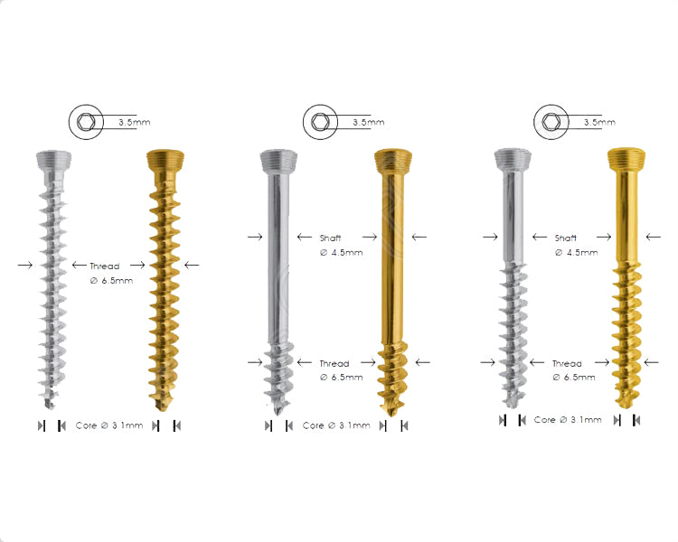 Cancellous Safety Lock Screw Ø 6.5mm