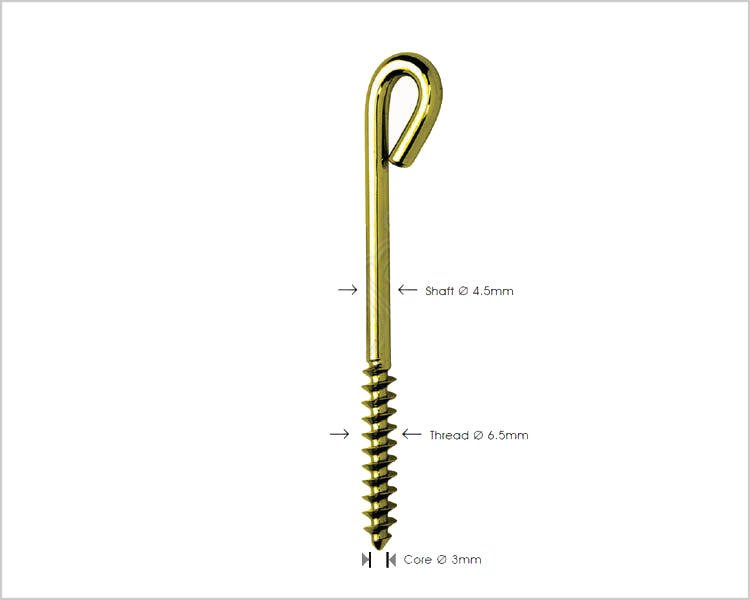 Cancellous Traction Screw Ø 6.5mm Main image