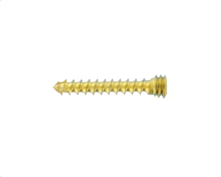 Cross-Fit Screw Locking Dia 2.7 Titanium Main image