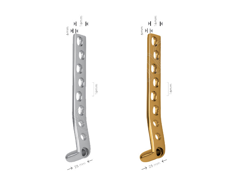 DCS Plate 95° with Dynamic Compression Holes Hauptbild