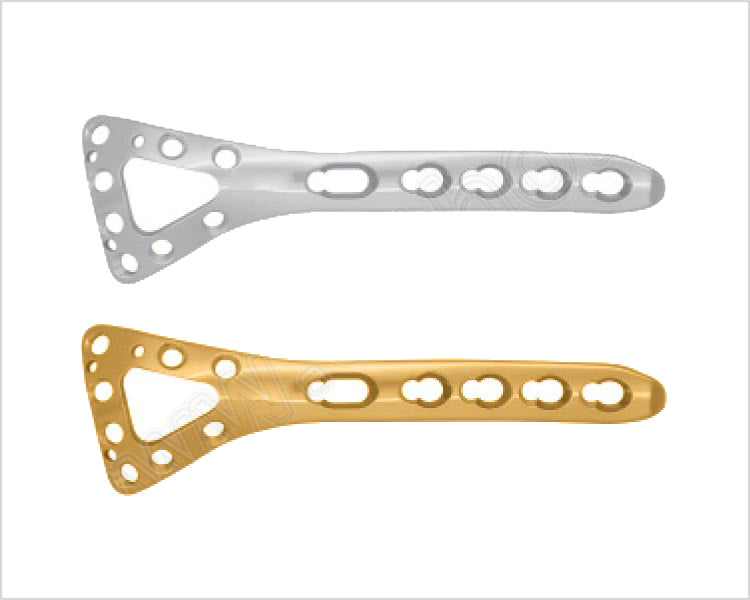 Distal Dorsal Radial Delta Safety Lock Plate