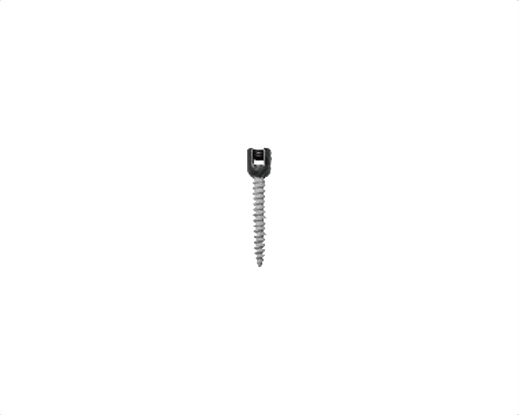 Ha Coated Monoaxial Screw - Titanium Imagen principal del producto